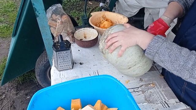 Что сейчас даю нутриям. Вот такой бедлам. Сельская жизнь.