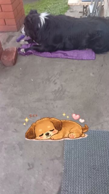 Даю Джесси орешки.