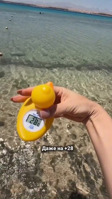 22 апреля в Египте 🇪🇬