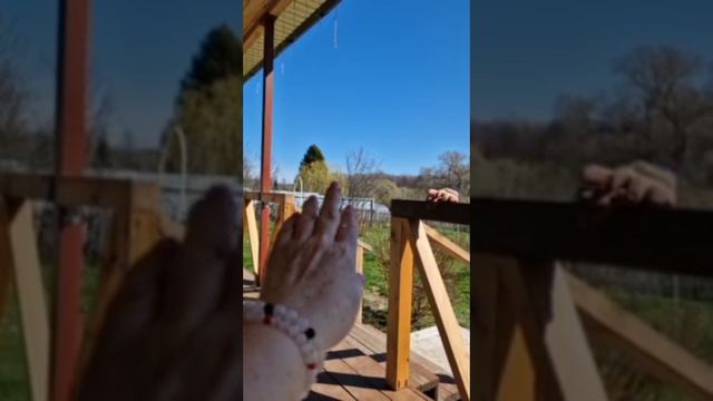 Нашли сумку в сарайке