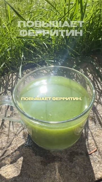 Быстро повышаем ферритин 🌱