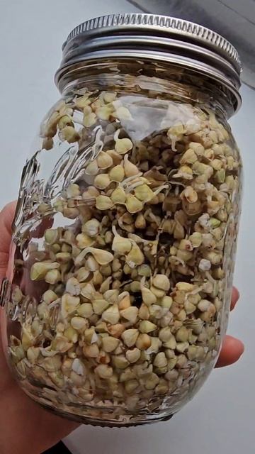 Источник белка , витаминов, микроэлементов,  антиоксидантов и клетчатки в 1 продукте🔥