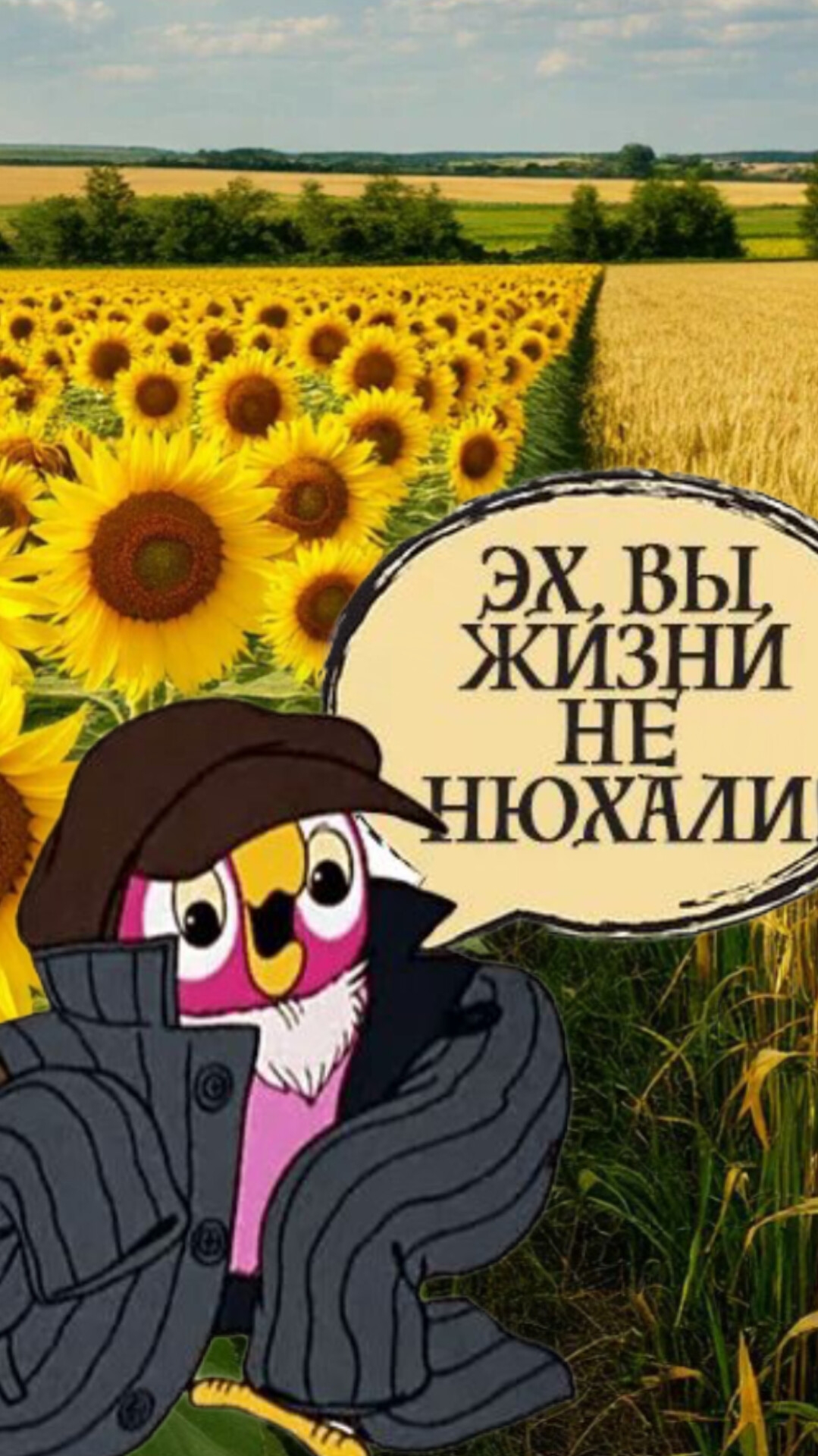 Электрическая газонокосилка по не ровному участку