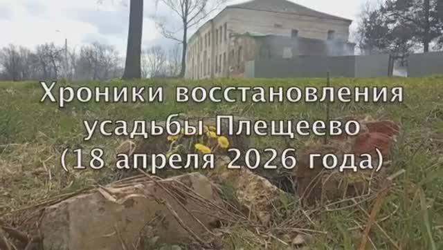 дубы-сосны- вязы