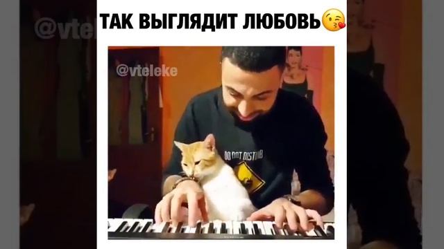 VID_20260422_133839_352.mp4