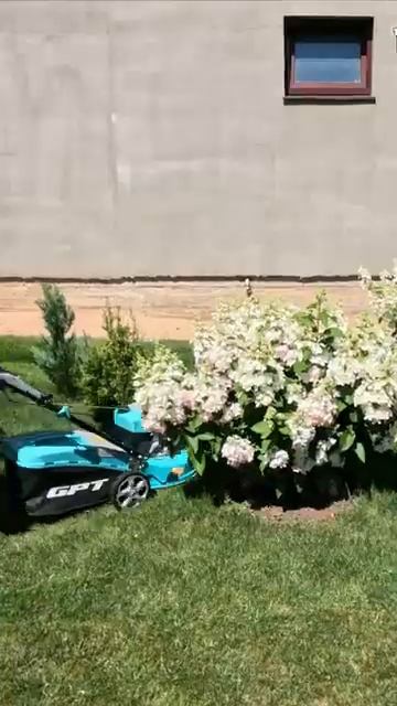 Стрижем газон со сложными участками самоходной бензиновой газонокосилкой GPT shorts газонокосилка