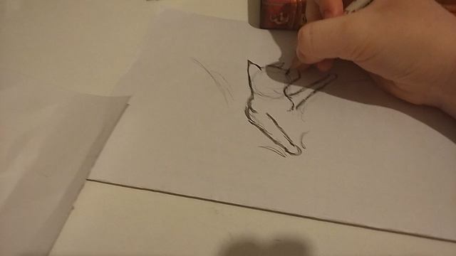 Разбираем книгу Коты-Воители Лес секретов и рисуем тонущего воителя