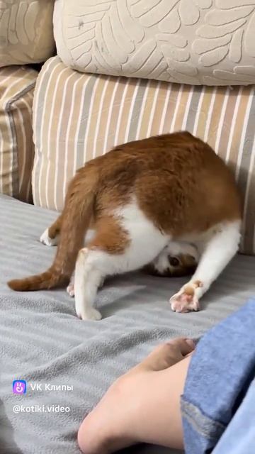 Я тебя умоляю, убери этот запах.