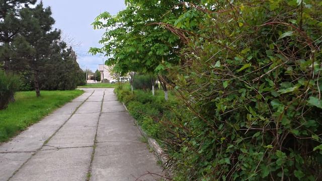 Анапа 22.04.2026