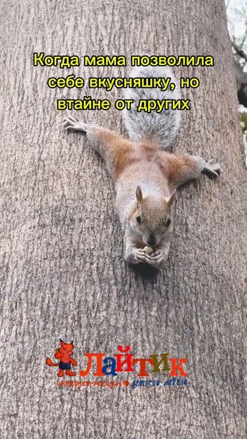 Маленький подарок самой себе