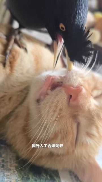 Состояние в середине рабочей недели