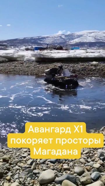 Авангард Х1