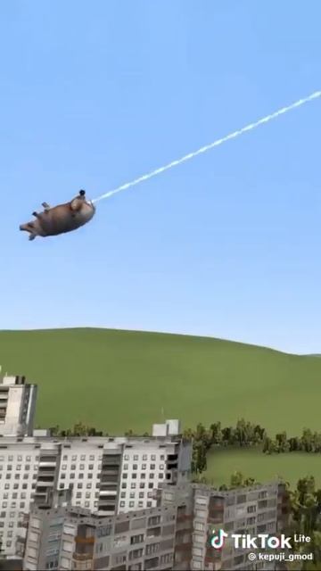 ну не а че,свинья то же хочет мир спасать