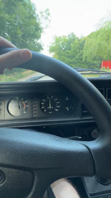 Ловля мошек 🦟