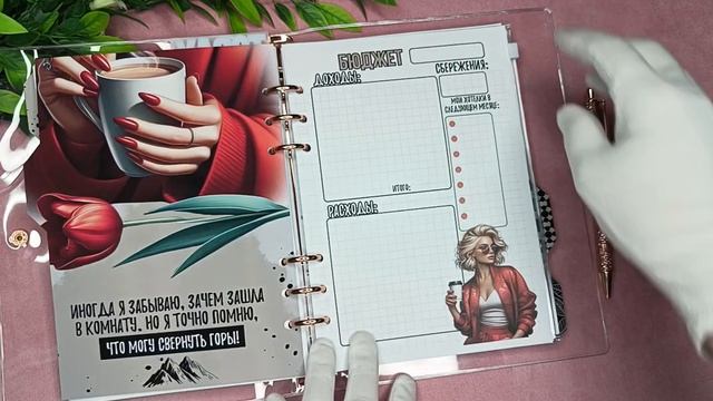 Обзор Планер/ежедневник склерозницы в силиконовой обложке.