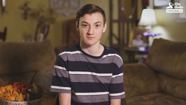 Dogs are THRILLED to be Reunited With Sister Coming Home From College ｜ The Dodo Reunited