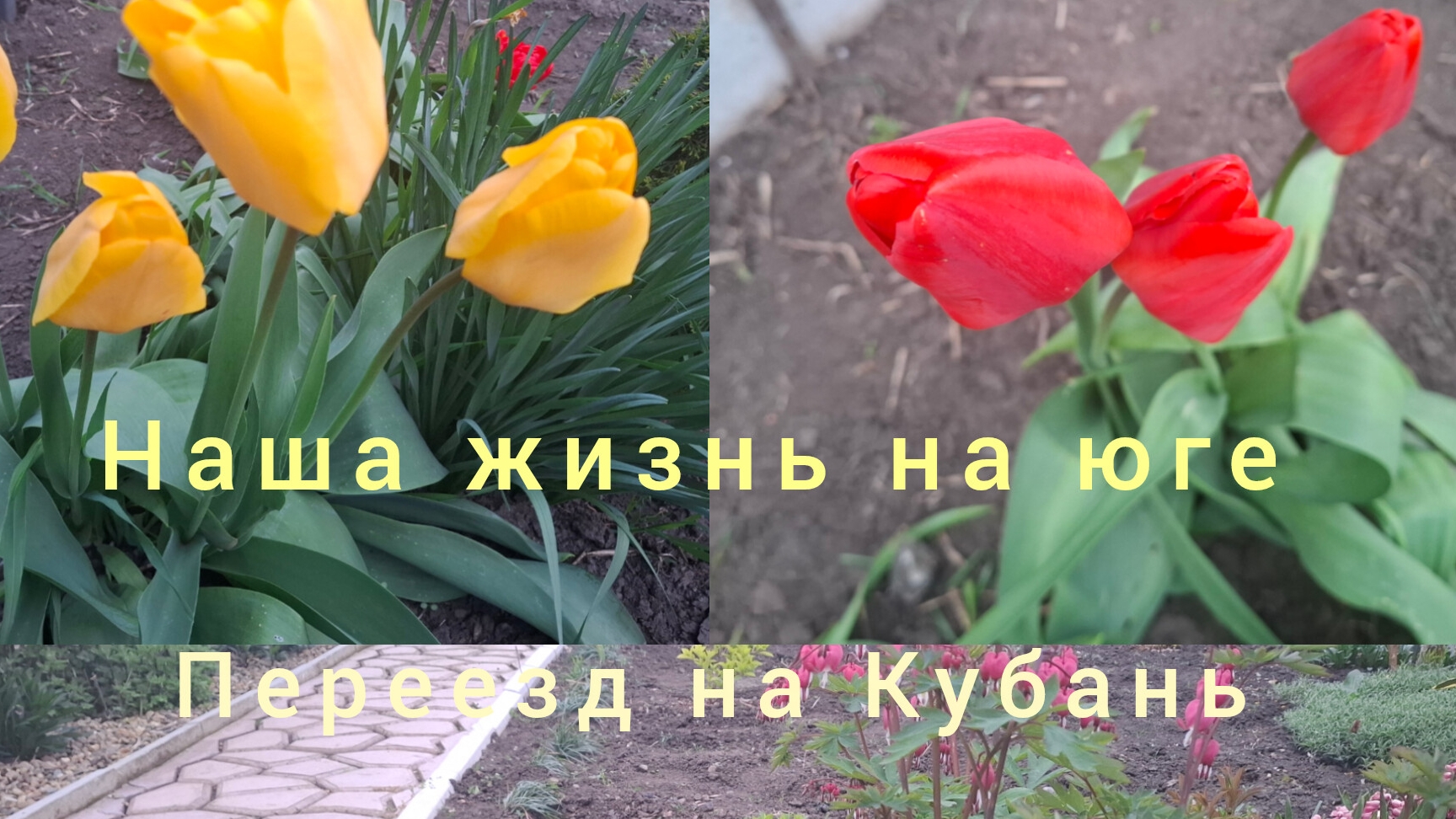 22-04-26/Бордюры/Обработка фундамента/Ватрушка/Пирожки/Подкормила огурцы/Живём и работаем на Кубани/