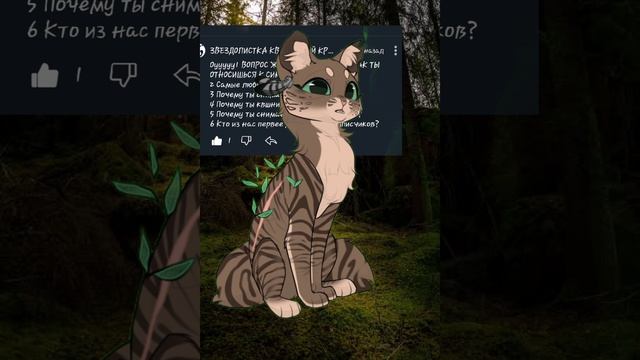 ответы на вопросы