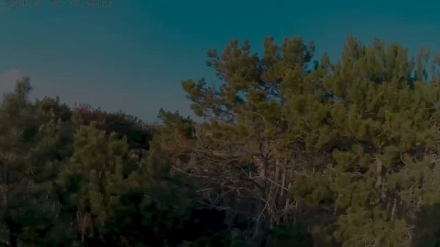 Природное умиротворение...