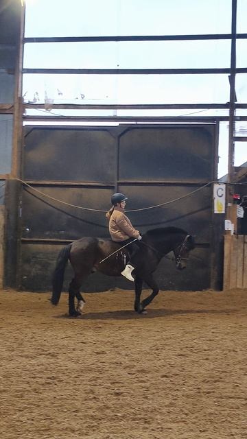 Василиса на Аквилоне учится ездить без седла.