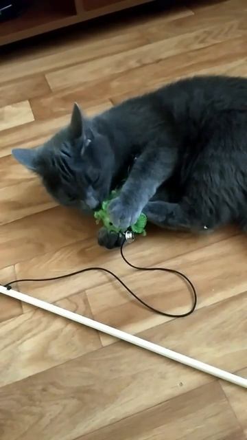 1234567890123456789012345678901234567890123456789012345678901234567890123456789012345678901234567890