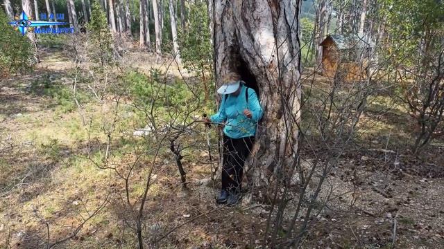 К Алупкинскому исару
