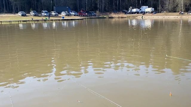 Бомбарда в деле!