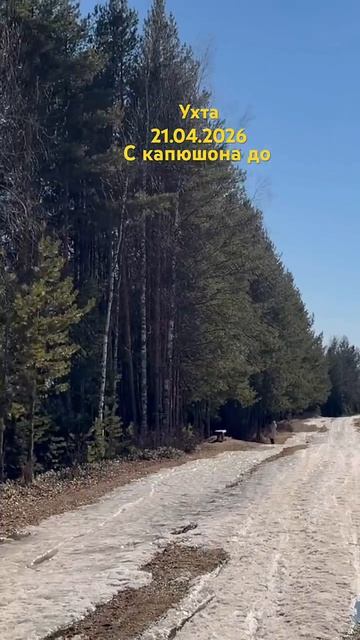 #Ухта …от капюшона до…Республика Коми…21.04.2026