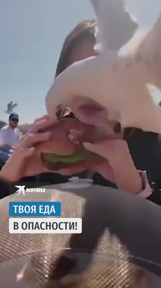 Твоя еда в опасности!