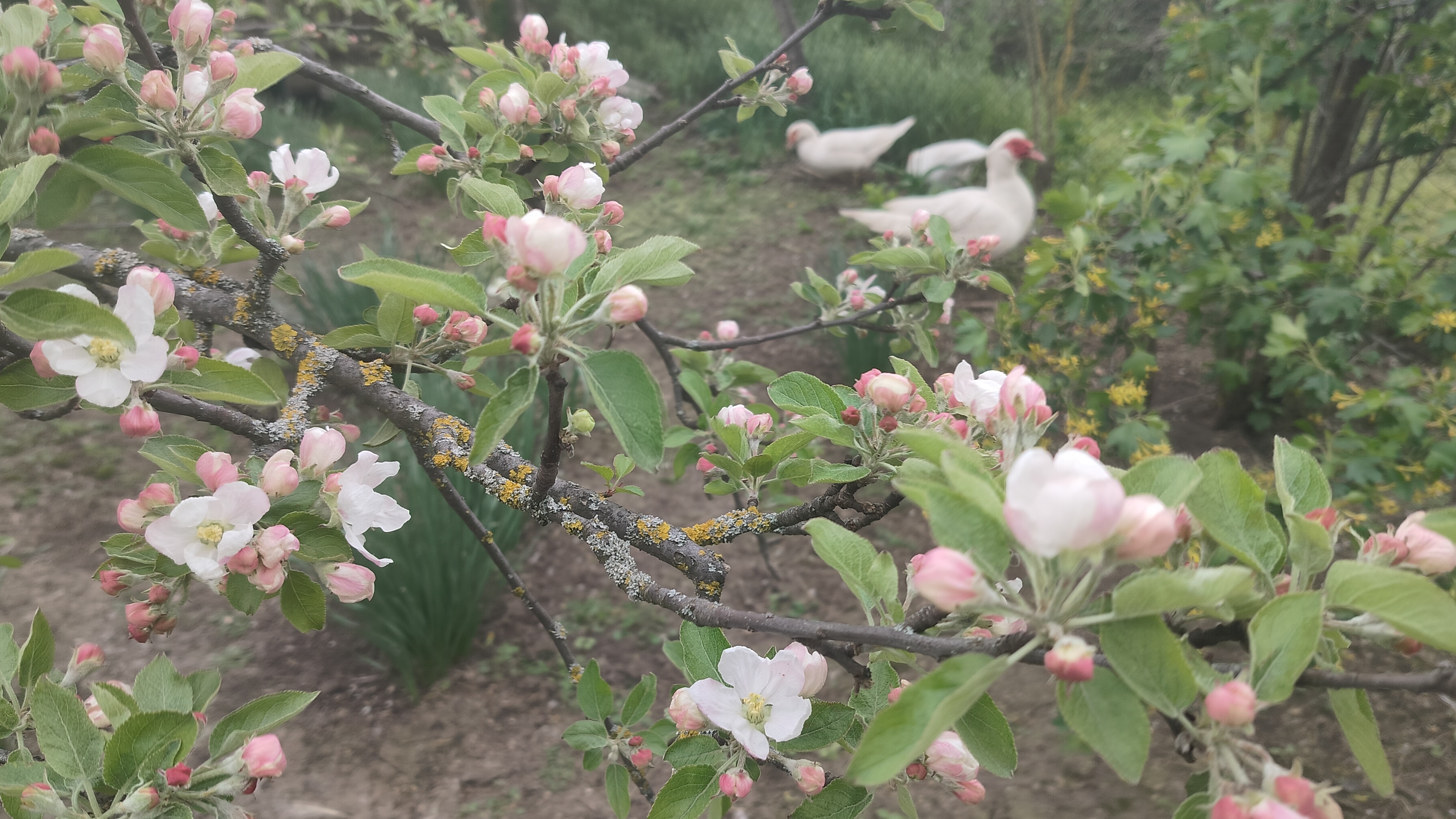 Разгребаем очередной бардак. Никого не хотела обидеть. Жизнь на пенсии.