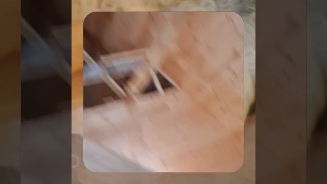 1000056809.mp4 (Собака наблюдает за устройством лестницы на 2-ой этаж в доме А-фрейм)