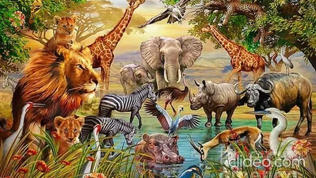 Страна наслаждений