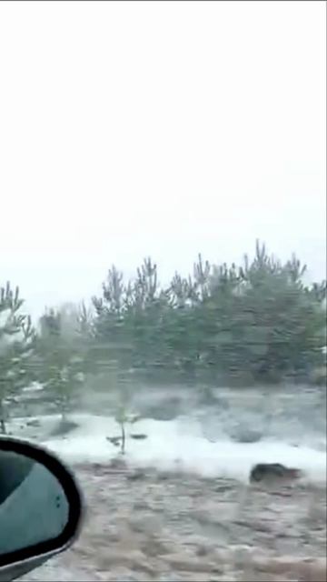 Обильный снег выпал в Новосибирске 3 камера