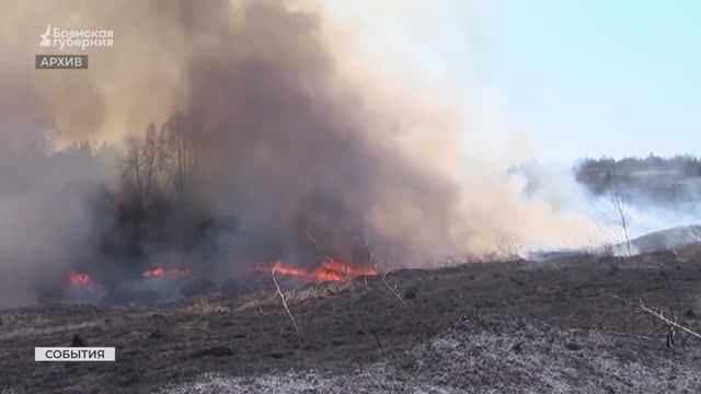 В брянском правительстве обсудили готовность региона противостоять пожарам