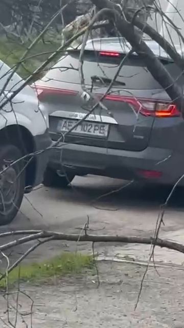 Полицаи ТЦК давно блокируют машинами автомобили жертв, потому что пеших ухилянтов почти не осталось.