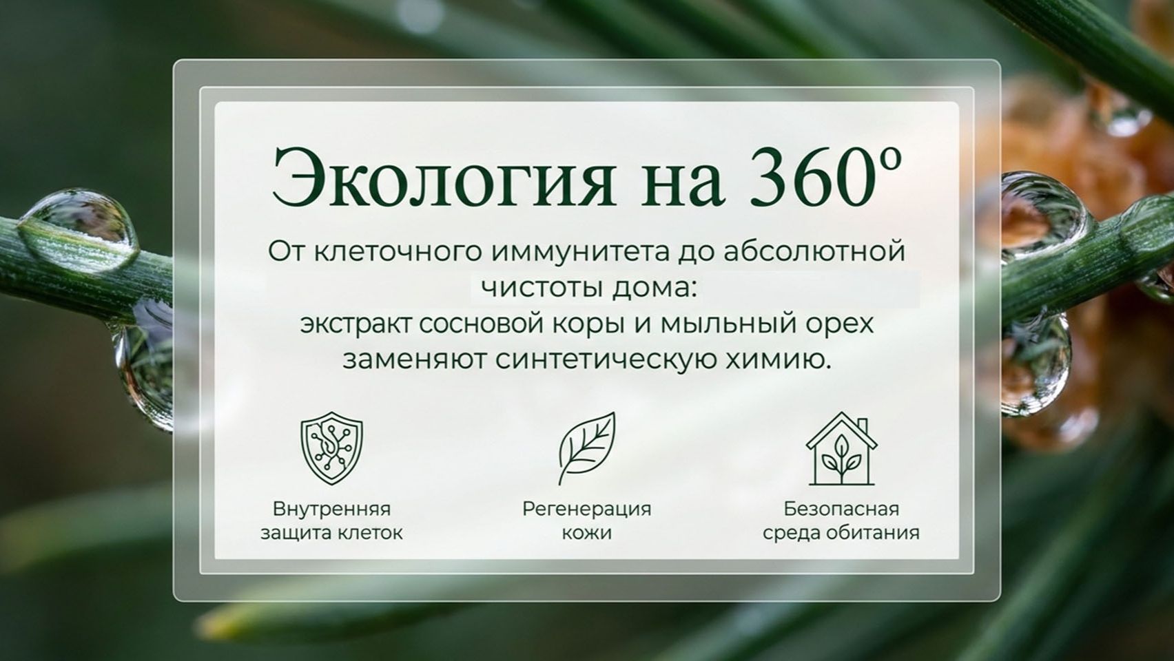 Сосновая кора плюс мыльные орехи