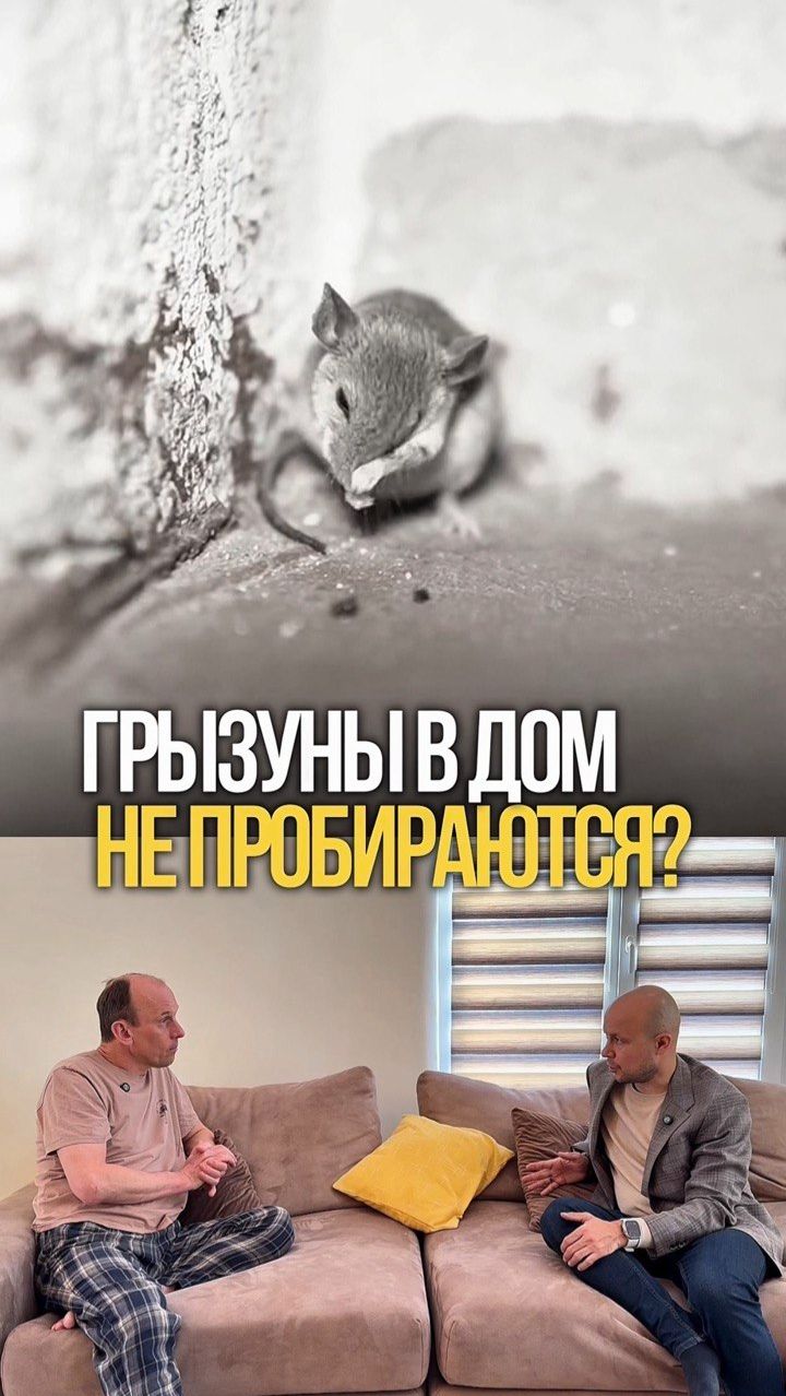 «Грызуны не пробираются в панели Соломит. Развеиваю миф»