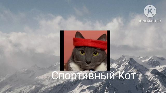 заставка котинет