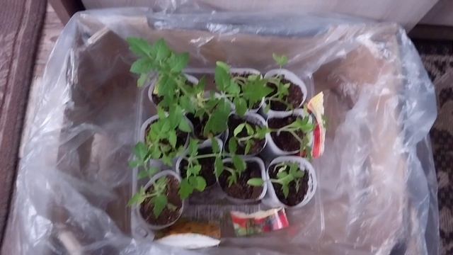 Ни в сказке сказать, ни пером описать..Было это 7 лет назад.