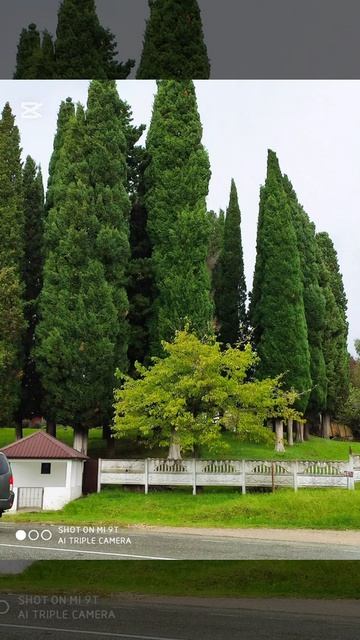 video_2026-03-09_21-19-31