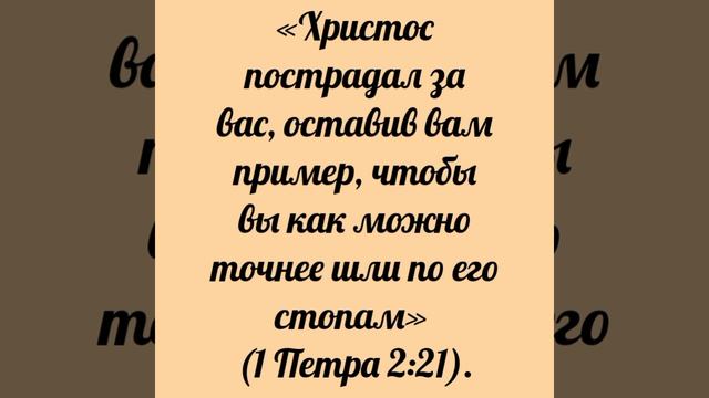 YouCut_20260421_224153902.mp4