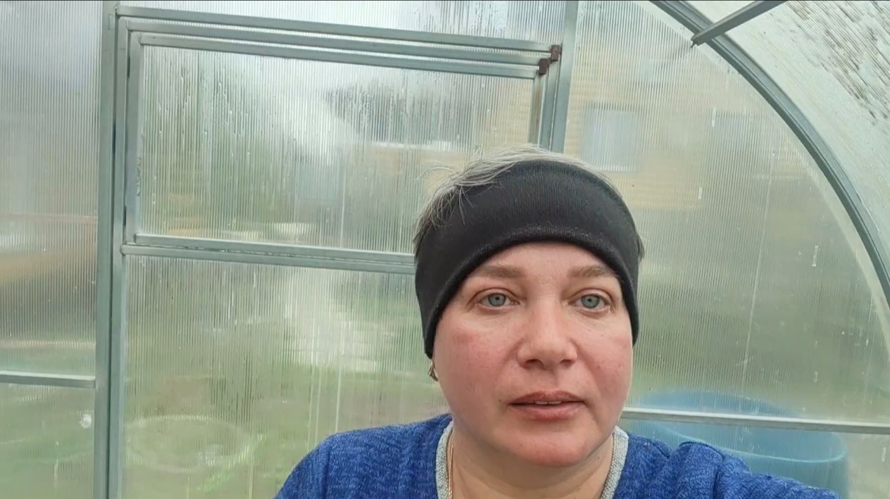 Высадила базилик, пекинскую капусту. Начала высаживать томаты.