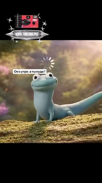 Плёночный фотоаппарат на 36 кадров (Артикул WB: #WW360391)💕