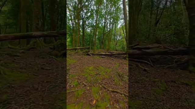 красивая неповторимая природа.mp4