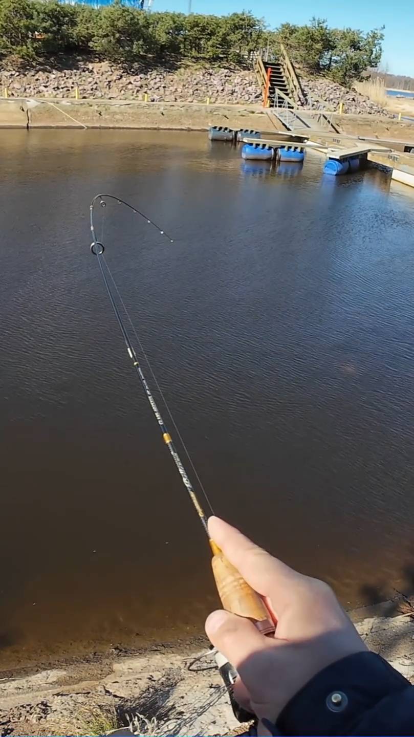 | Рыба клюёт на это?! | Ловля на презерватив | #рыбалка #shorts