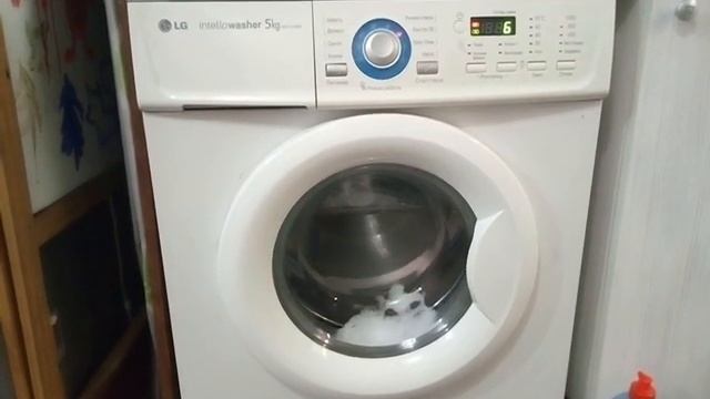 LG WD 10160N результат после ремонта