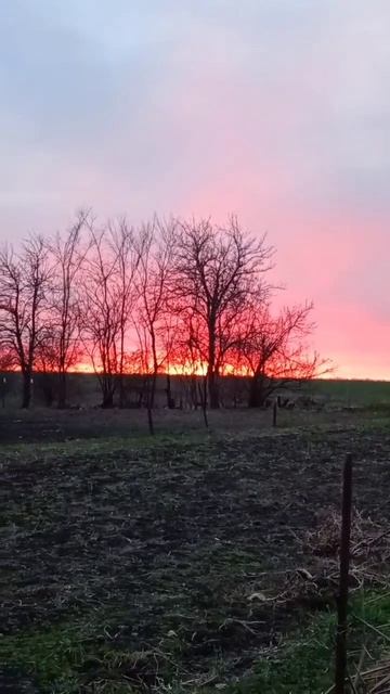 Алый закат😎