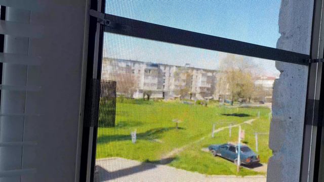 Наша реальная повседневность. 22.04.2026