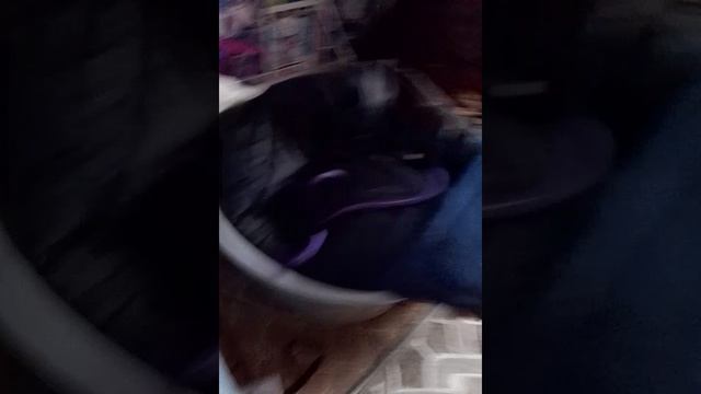 влог после прогулки