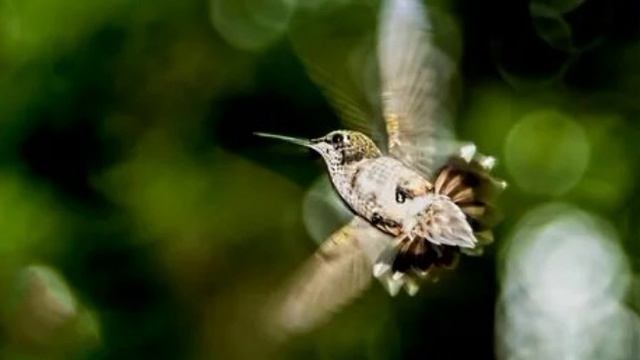 М.880)) Молимся вместе. Немощь.